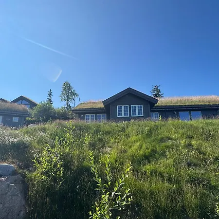 Feriehus Vikerfjell I Ringerike, Oslos Naermeste Hoyfjell Honefoss