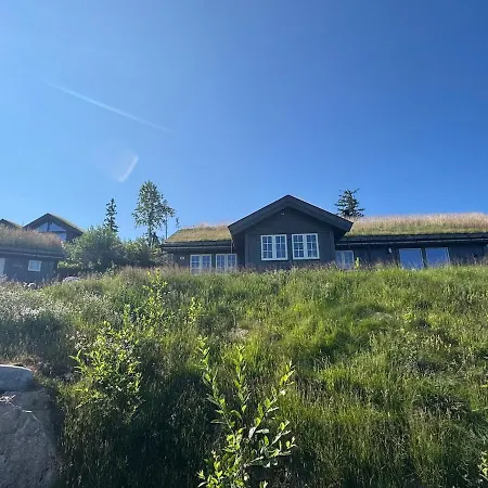 Feriehus Vikerfjell I Ringerike, Oslos Naermeste Hoyfjell Honefoss