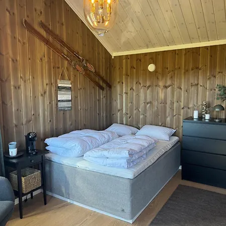 Feriehus Vikerfjell I Ringerike, Oslos Naermeste Hoyfjell