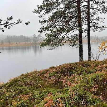 Vikerfjell I Ringerike, Oslos Naermeste Hoyfjell Feriehus Honefoss