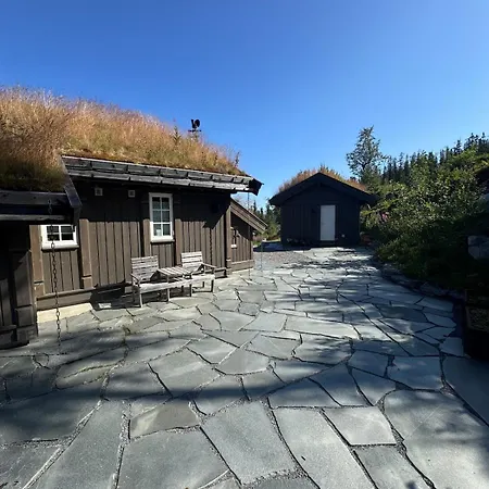 Feriehus Vikerfjell I Ringerike, Oslos Naermeste Hoyfjell *