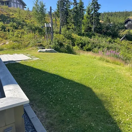 Feriehus Vikerfjell I Ringerike, Oslos Naermeste Hoyfjell Honefoss