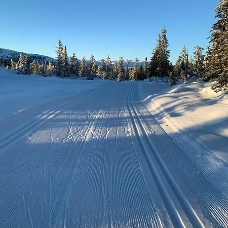Feriehus Vikerfjell I Ringerike, Oslos Naermeste Hoyfjell