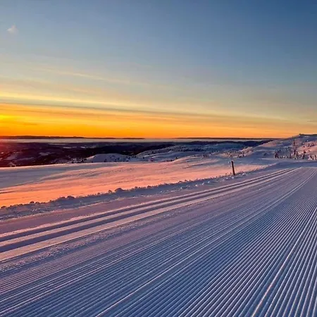 Vikerfjell I Ringerike, Oslos Naermeste Hoyfjell * Honefoss
