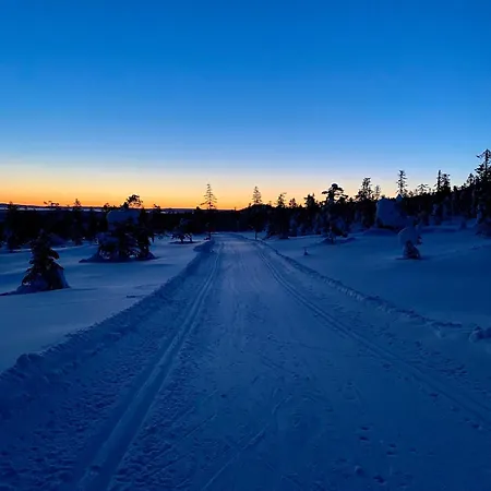 Vikerfjell I Ringerike, Oslos Naermeste Hoyfjell