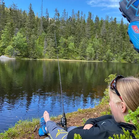 Vikerfjell I Ringerike, Oslos Naermeste Hoyfjell Feriehus Honefoss