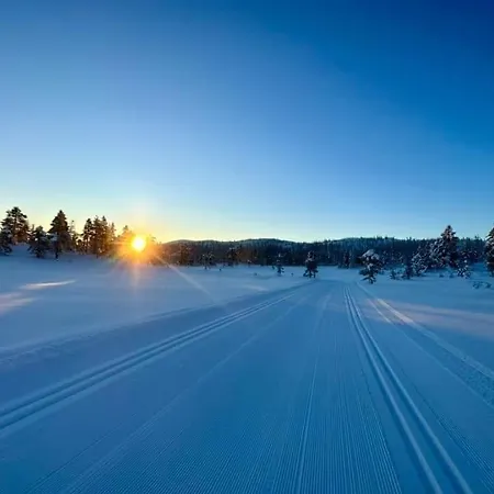 Vikerfjell I Ringerike, Oslos Naermeste Hoyfjell Honefoss