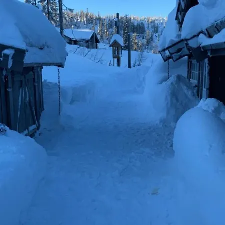 Vikerfjell I Ringerike, Oslos Naermeste Hoyfjell Feriehus Honefoss